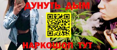амф Бийск